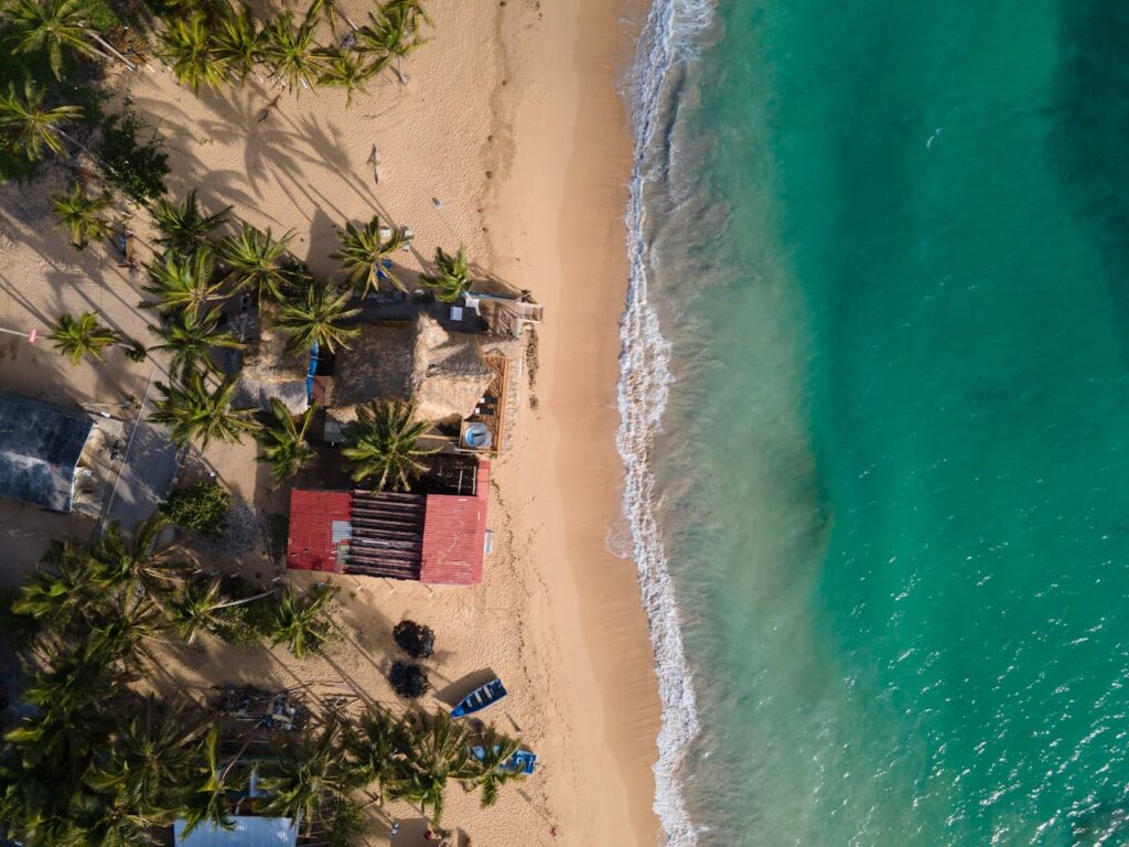 pexels-davidrado-8227280